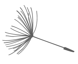 dandelionservice0101